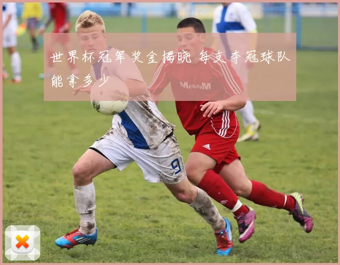 世界杯冠军奖金揭晓 每支夺冠球队能拿多少