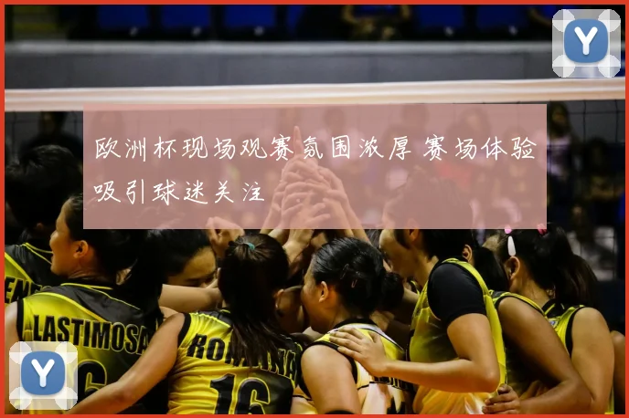 欧洲杯现场观赛氛围浓厚 赛场体验吸引球迷关注