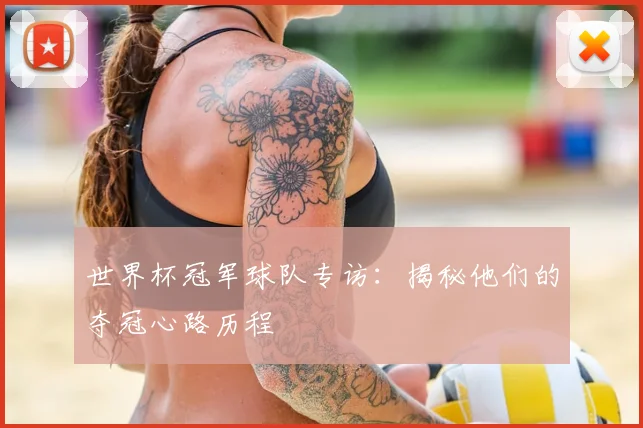 世界杯冠军球队专访：揭秘他们的夺冠心路历程