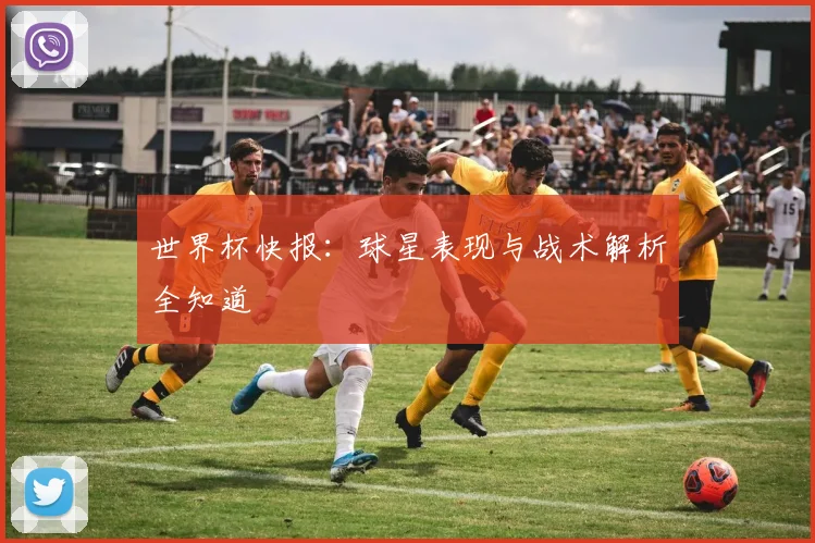 世界杯快报：球星表现与战术解析全知道