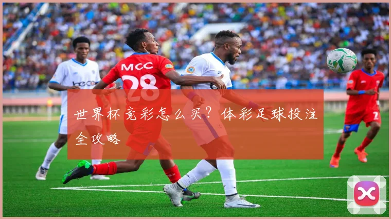 世界杯竞彩怎么买？体彩足球投注全攻略