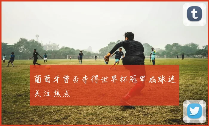 葡萄牙曾否夺得世界杯冠军成球迷关注焦点