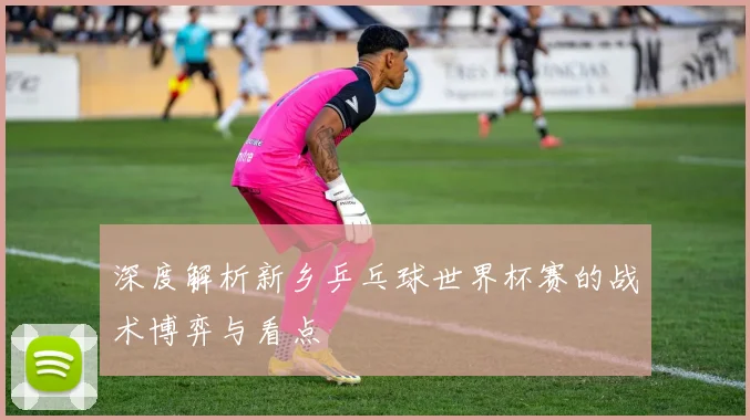 深度解析新乡乒乓球世界杯赛的战术博弈与看点