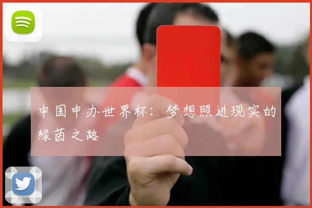 中国申办世界杯:梦想照进现实的绿茵之路