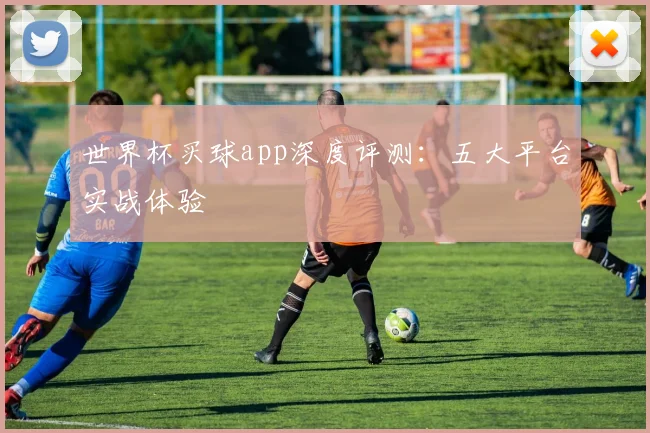 世界杯买球app深度评测：五大平台实战体验