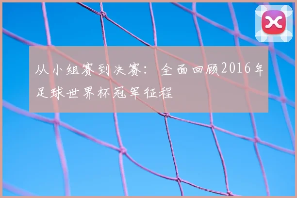 从小组赛到决赛：全面回顾2016年足球世界杯冠军征程
