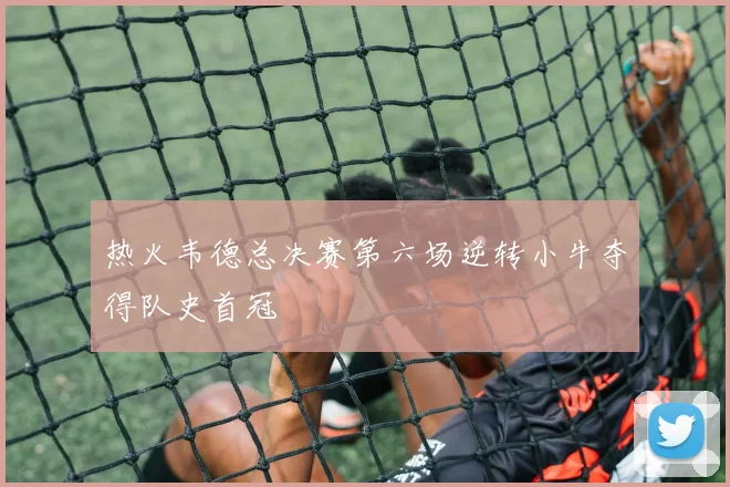 热火韦德总决赛第六场逆转小牛夺得队史首冠