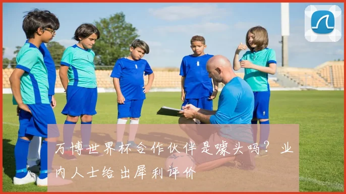 万博世界杯合作伙伴是噱头吗？业内人士给出犀利评价