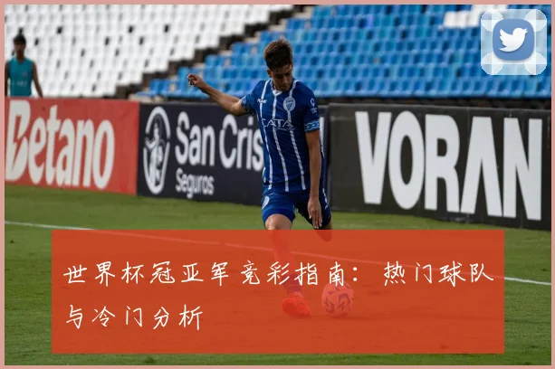 世界杯冠亚军竞彩指南：热门球队与冷门分析
