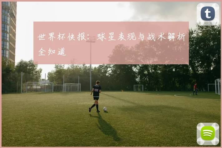 世界杯快报：球星表现与战术解析全知道