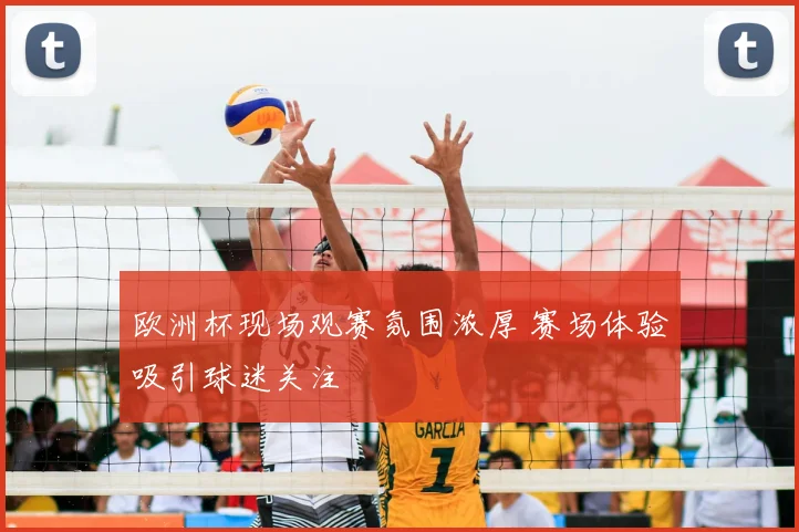 欧洲杯现场观赛氛围浓厚 赛场体验吸引球迷关注