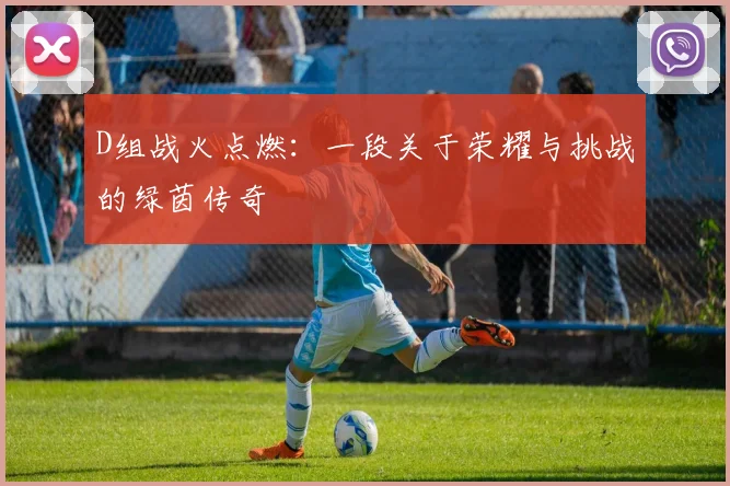 D组战火点燃:一段关于荣耀与挑战的绿茵传奇
