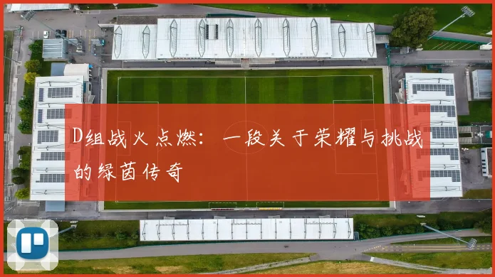 D组战火点燃:一段关于荣耀与挑战的绿茵传奇