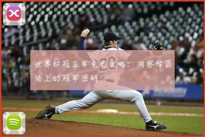 世界杯冠亚军竞彩攻略：洞察绿茵场上的冠军密码