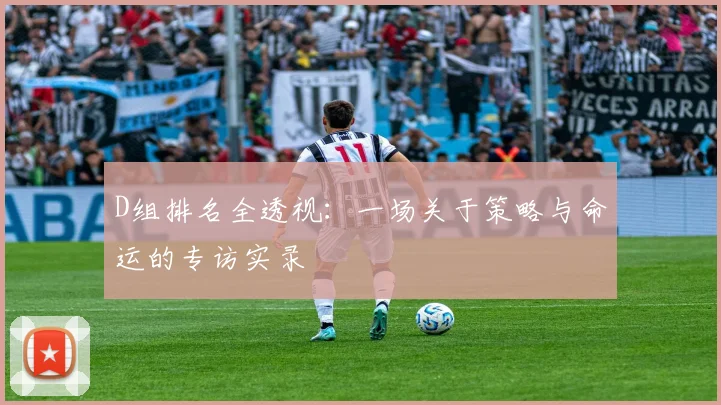 D组排名全透视:一场关于策略与命运的专访实录