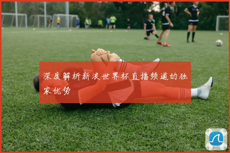 深度解析新浪世界杯直播频道的独家优势