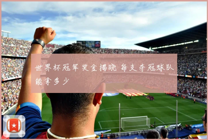 世界杯冠军奖金揭晓 每支夺冠球队能拿多少