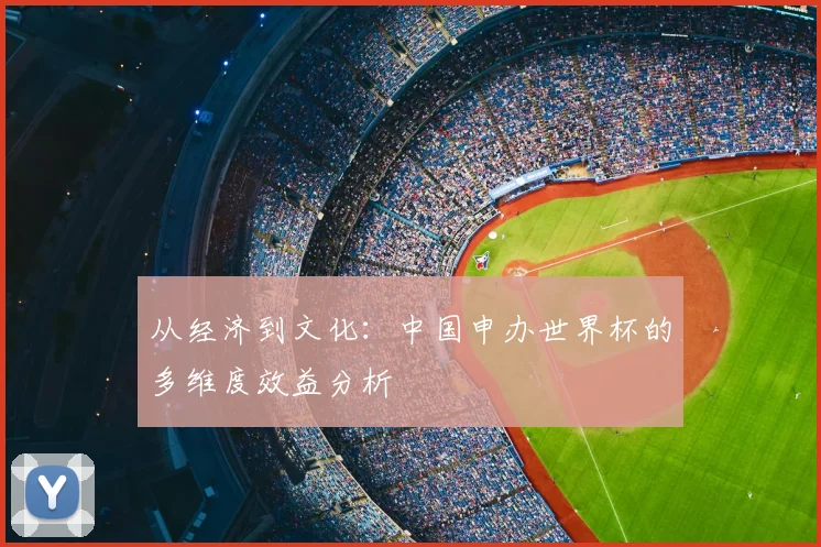 从经济到文化：中国申办世界杯的多维度效益分析