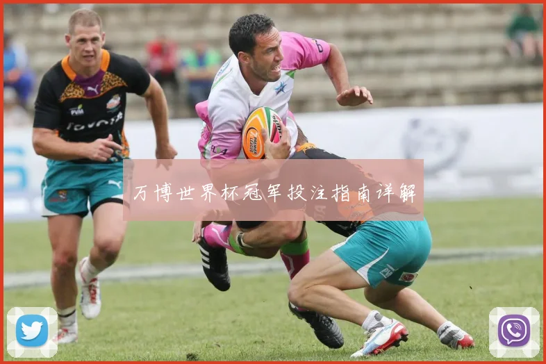 万博世界杯冠军投注指南详解