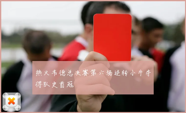 热火韦德总决赛第六场逆转小牛夺得队史首冠
